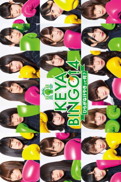 KeyaBingo!: Season 4 (0)