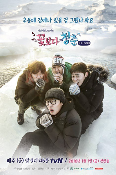 Youth Over Flowers: Iceland